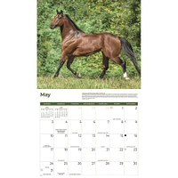 Horses 2026 Wall Calendar
