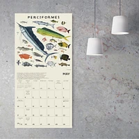 Illustrated Animal Kingdom 2026 Wall Calendar - Online Exclusive