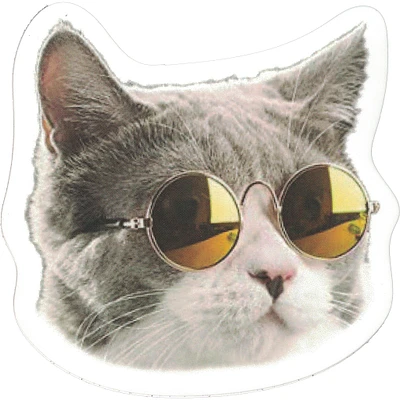 Cat with Glasses Vinyl Sticker - FINAL SALE