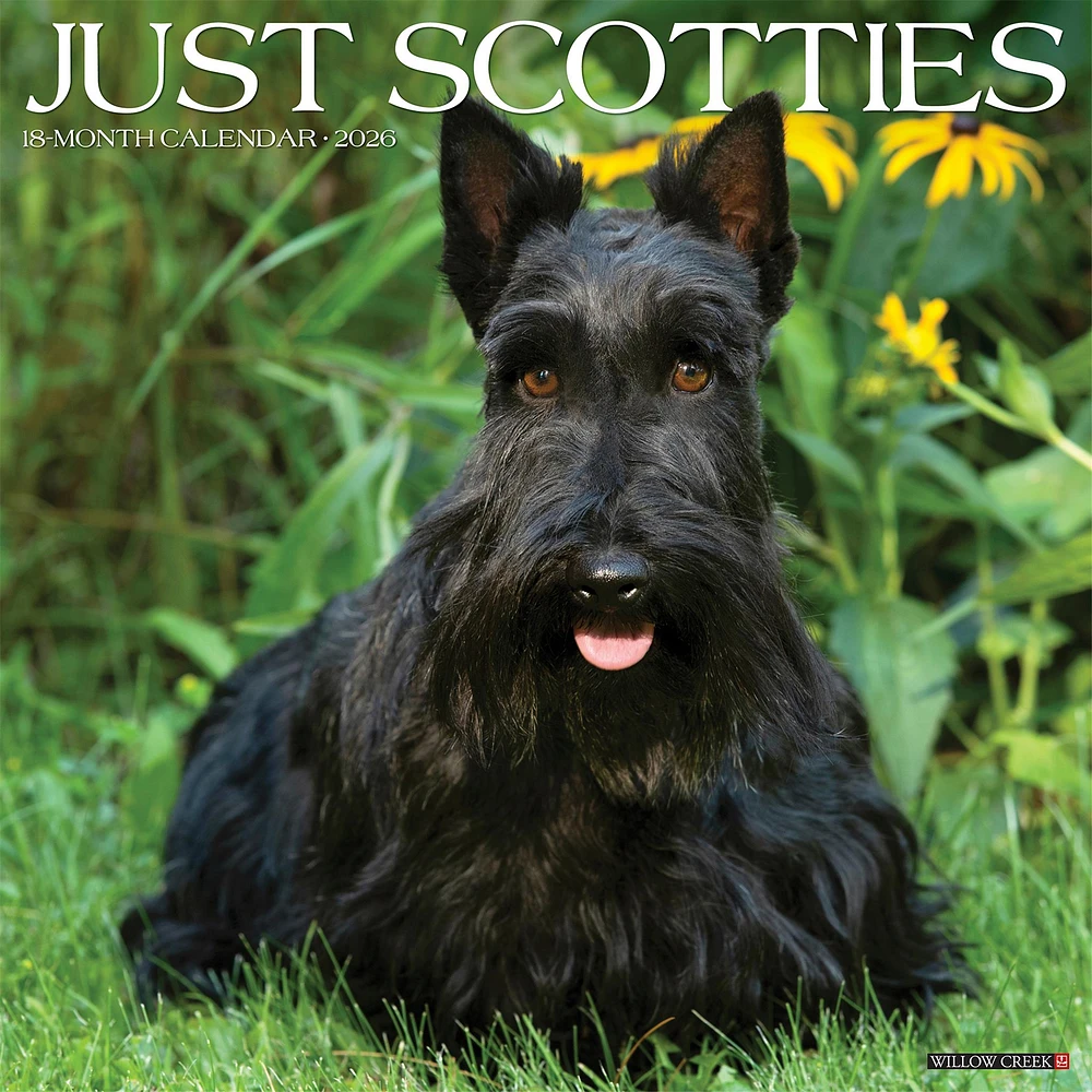Just Scotties 2026 Wall Calendar