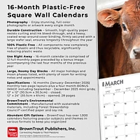 Baby Moo Moos 2026 Wall Calendar - Online Exclusive