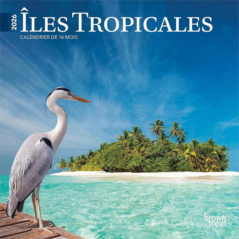 Iles Tropicales 2026 Mini Calendar (French)