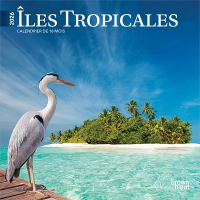 Iles Tropicales 2026 Mini Calendar (French)
