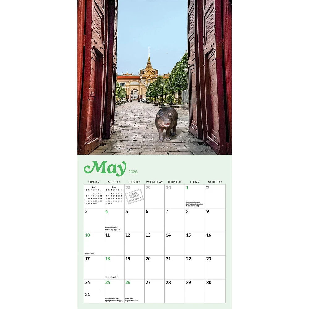 Tiny Hippo Big World 2026 Mini Calendar