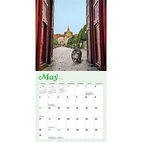 Tiny Hippo Big World 2026 Mini Calendar