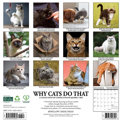 Why Cats Do That Wall 2025 Calendar