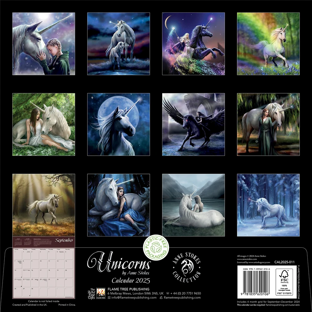 Unicorns By Anne Stokes Wall 2025 Calendar