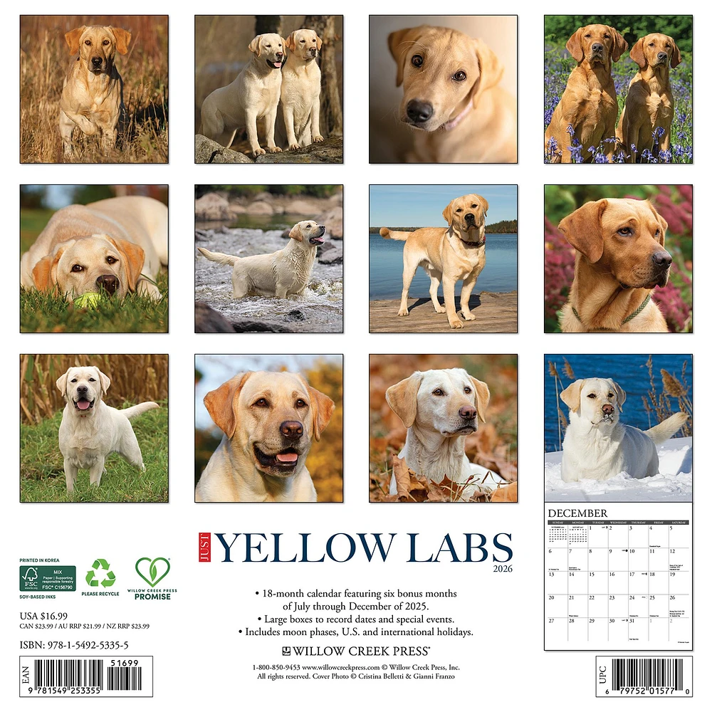 Just Yellow Labs 2026 Wall Calendar