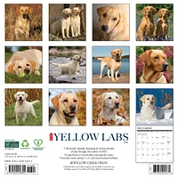 Just Yellow Labs 2026 Wall Calendar
