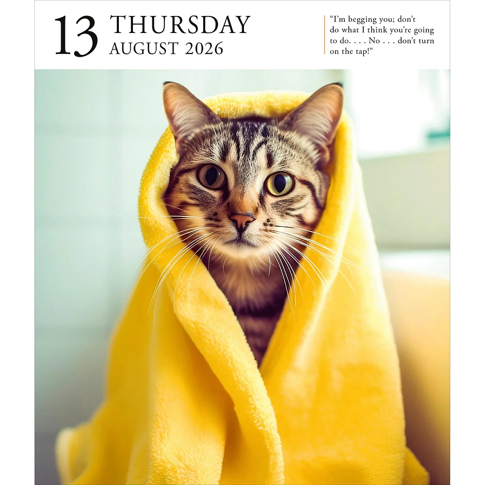 Cat Gallery 2026 Box Calendar
