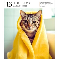 Cat Gallery 2026 Box Calendar