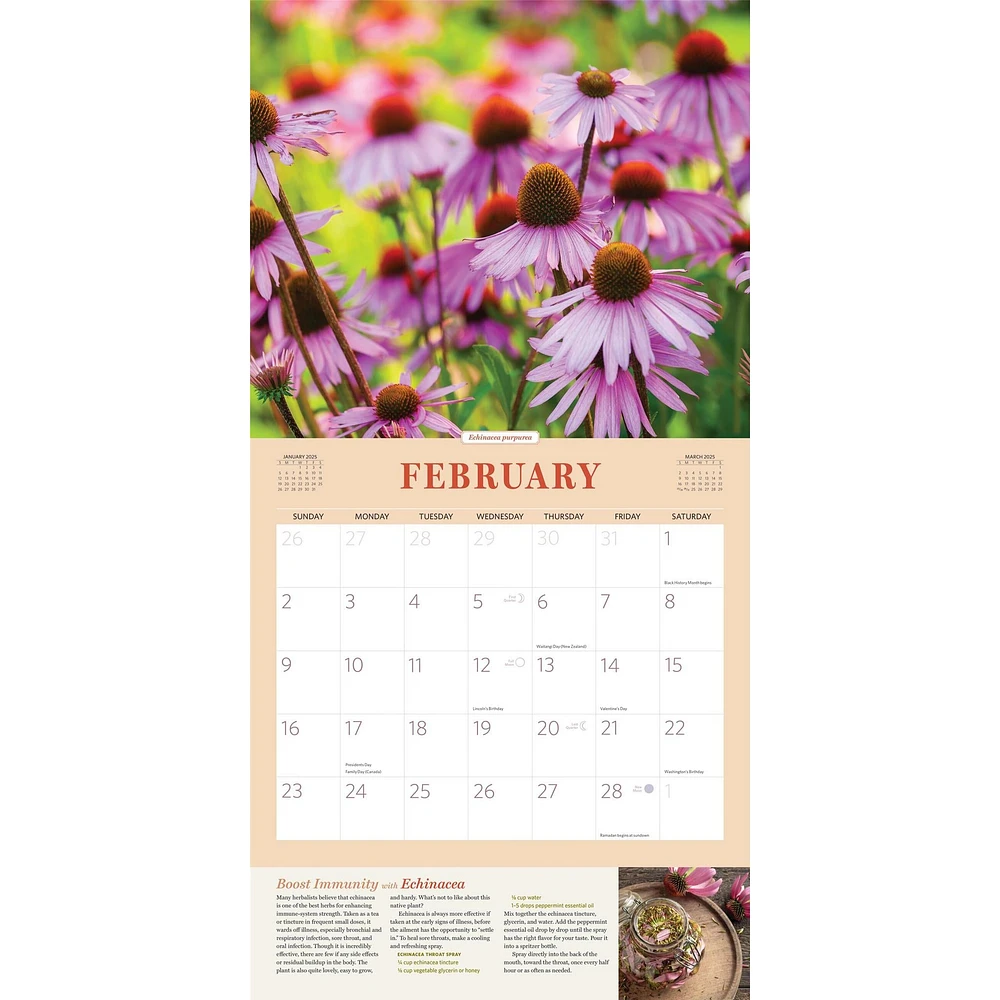 Herbs Wall 2025 Calendar