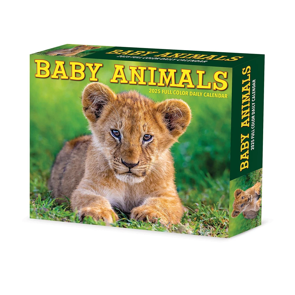 Baby Animals Box 2025 Calendar - Online Exclusive