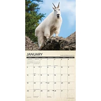 Canadian Fish And Wild Game Wall 2025 Calendar