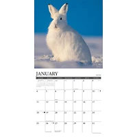 Wildlife 2026 Wall Calendar - Online Exclusive