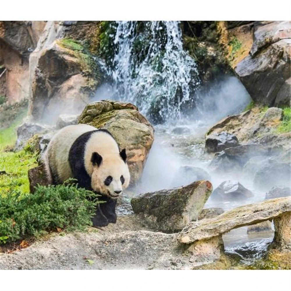 Giant Pandas World Wildlife Fund Wall 2025 Calendar