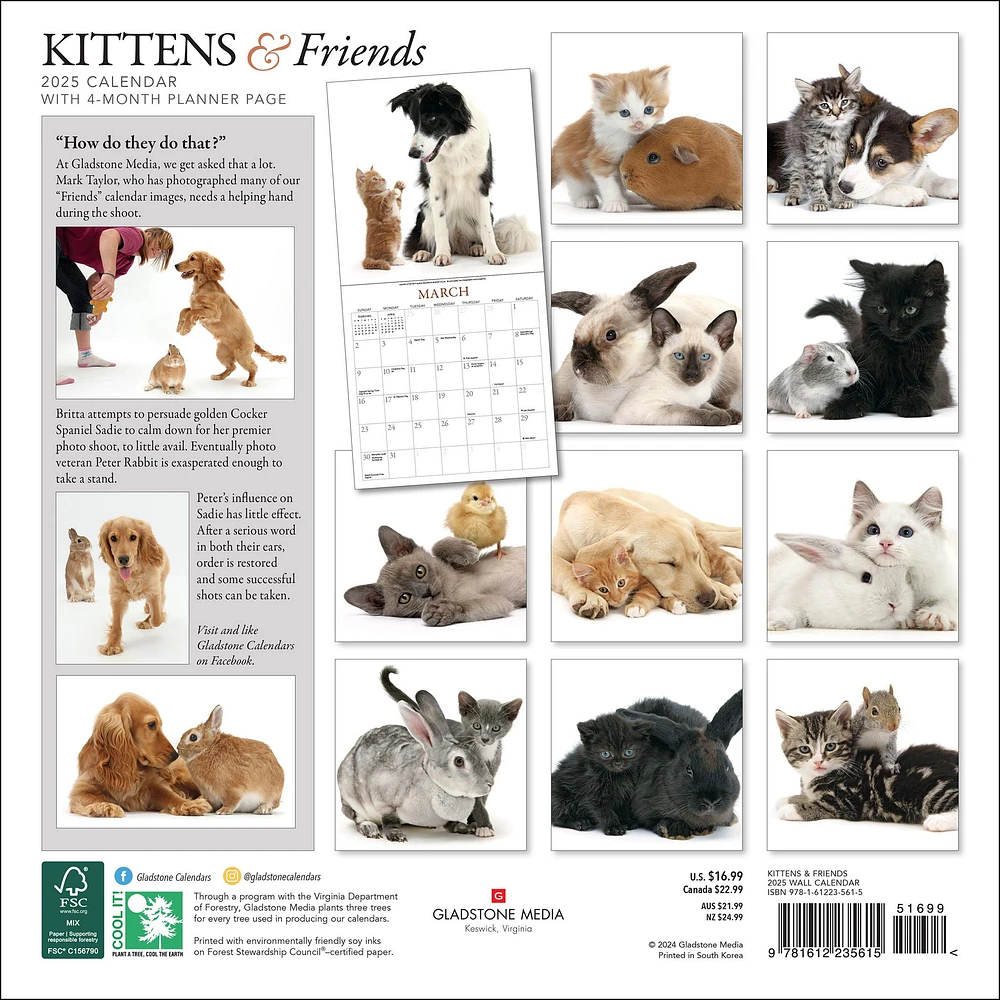 Kittens And Friends Wall 2025 Calendar