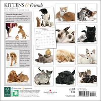 Kittens And Friends Wall 2025 Calendar