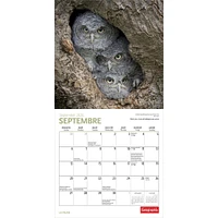 Canadian Geographic La Faune 2026 Mini Calendar (French)