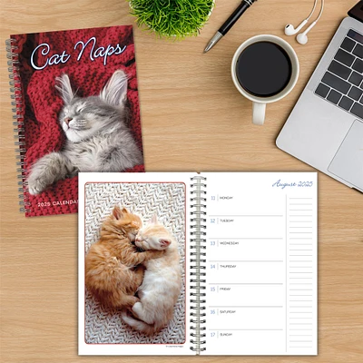 Cat Naps Engagement 2025 Calendar