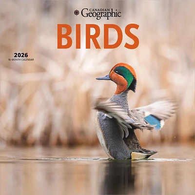 Canadian Geographic Birds 2026 Wall Calendar - Online Exclusive