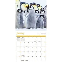 Baby Animals 2026 Wall Calendar