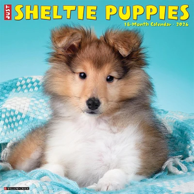 Just Sheltie Puppies 2026 Wall Calendar - Online Exclusive