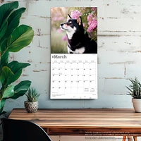 Shiba Inu 2026 Wall Calendar - Online Exclusive