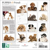 Puppies And Friends Wall 2025 Calendar