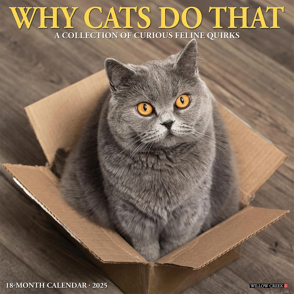 Why Cats Do That Wall 2025 Calendar