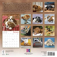 Pooped Puppies 2026 Wall Calendar - Online Exclusive