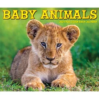 Baby Animals Box 2025 Calendar - Online Exclusive