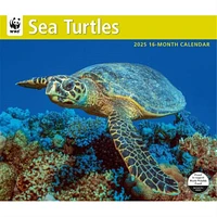 Sea Turtles World Wildlife Fund Wall 2025 Calendar