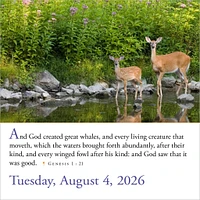 Bible Verses 365 2026 Box Calendar