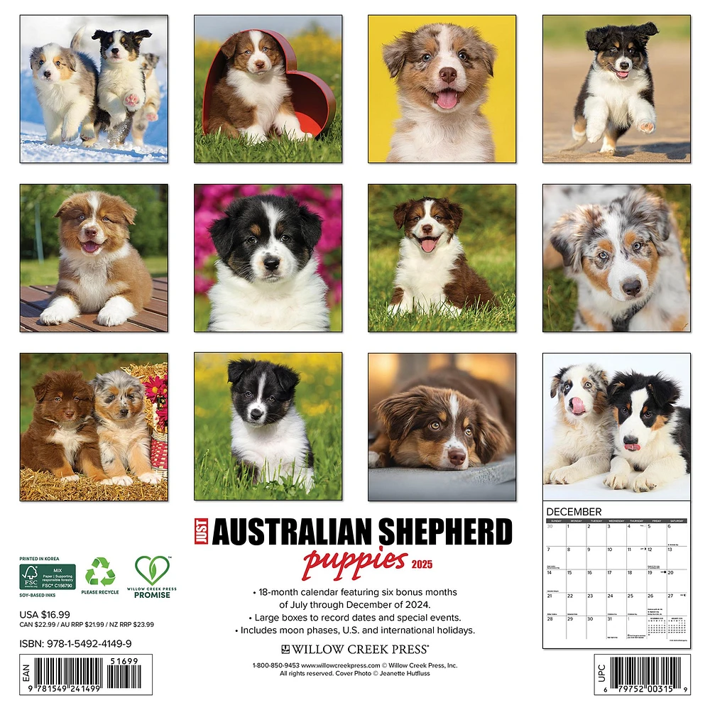 Just Australian Shepherd Puppies Wall 2025 Calendar