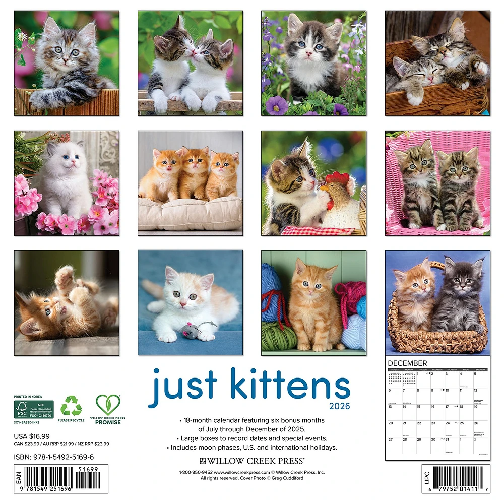 Just Kittens 2026 Wall Calendar