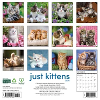 Just Kittens 2026 Wall Calendar
