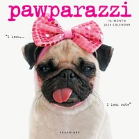 Pawparazzi Wall 2025 Calendar - Online Exclusive