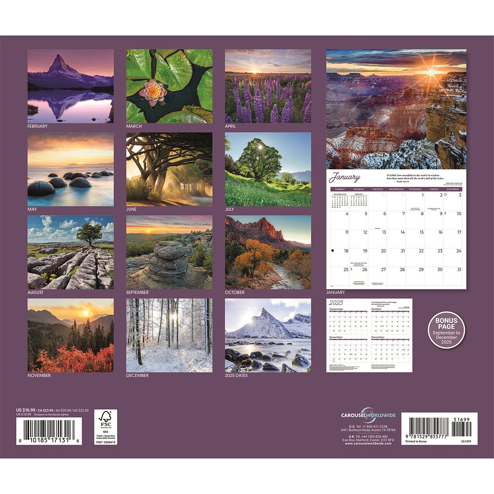 Psalms 2026 Wall Calendar