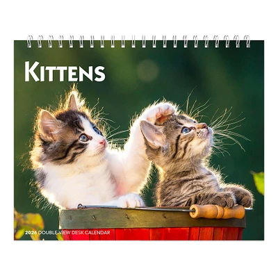 Kittens 2026 Double View Easel Calendar