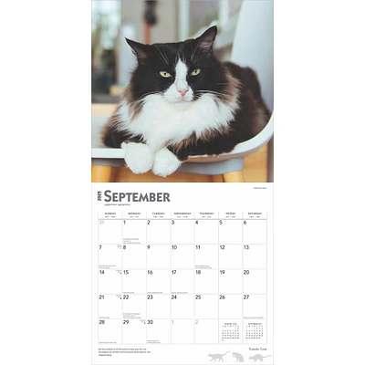 Tuxedo Cats Wall 2025 Calendar