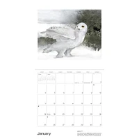 Owls Jeannine Chappell 2026 Wall Calendar