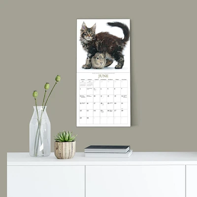 Kittens And Friends Mini 2025 Calendar