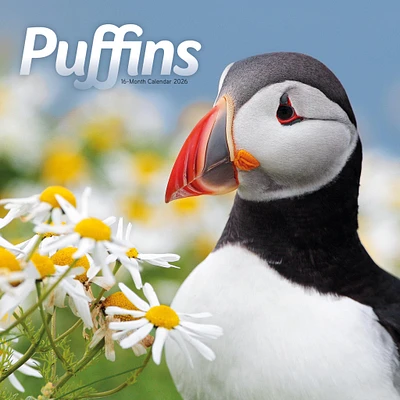 Puffins 2026 Wall Calendar