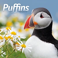 Puffins 2026 Wall Calendar