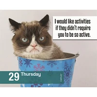 Grumpy Cat 2026 Box Calendar