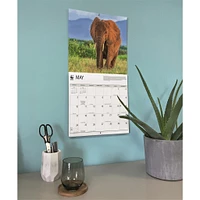 World Wildlife Fund Elephants 2026 Wall Calendar