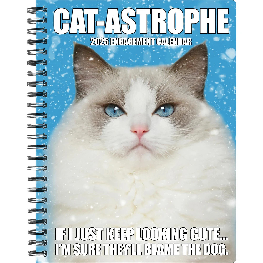 Catastrophe Engagement 2025 Calendar