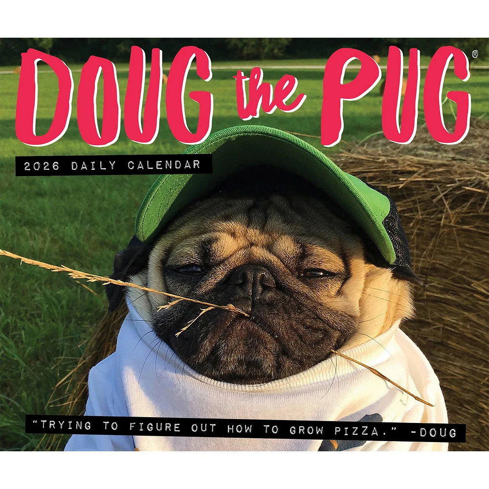 Doug The Pug 2026 Box Calendar