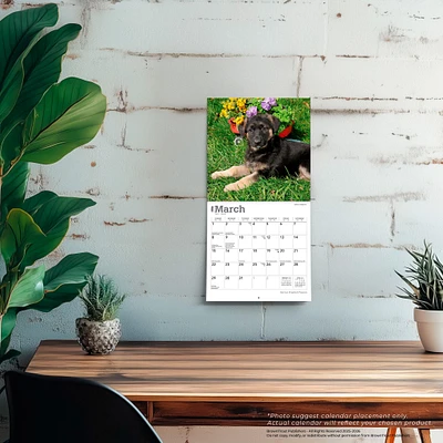 German Shepherd Puppies 2026 Mini Calendar